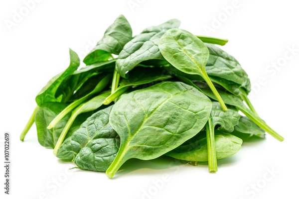 Fototapeta Szpinak z liści