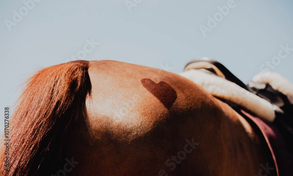 Fototapeta The rear view of a horse's rump, with a heart-shaped design shaved into it. On its back, the horse carries a leather saddle and a pink blanket. The romantic atmosphere. The equestrian lifestyle.