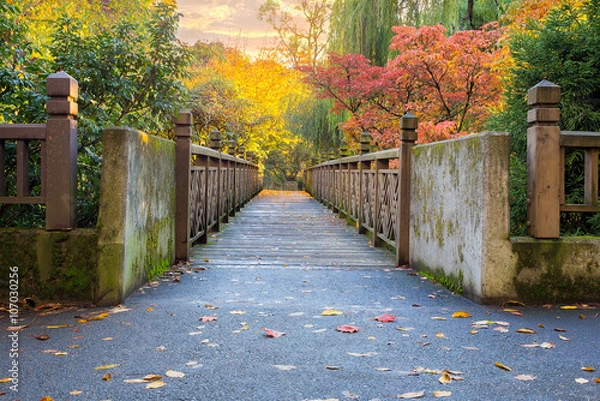 Fototapeta Fall Foliage at Crystal Springs Rhododendron Garden