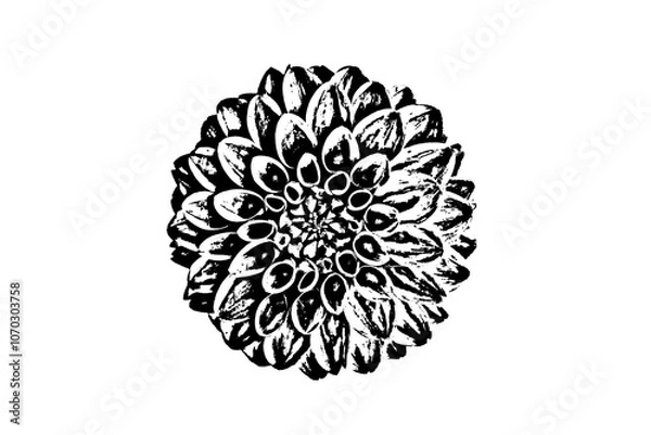 Fototapeta black and white flower on white background