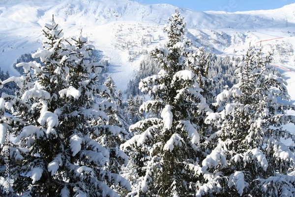 Obraz Montagne pin sapin neige