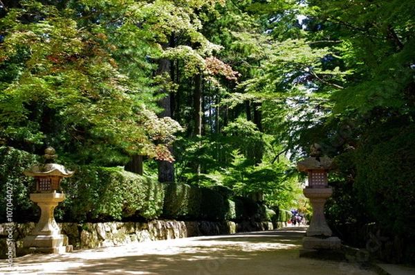 Fototapeta 高野山金剛峰寺への参道