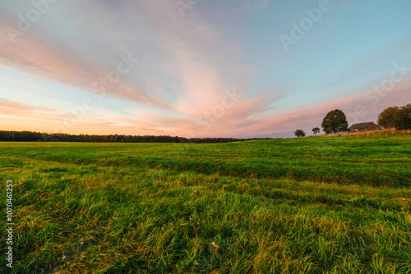 Fototapeta sunset in the field