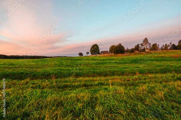 Fototapeta sunset in the field