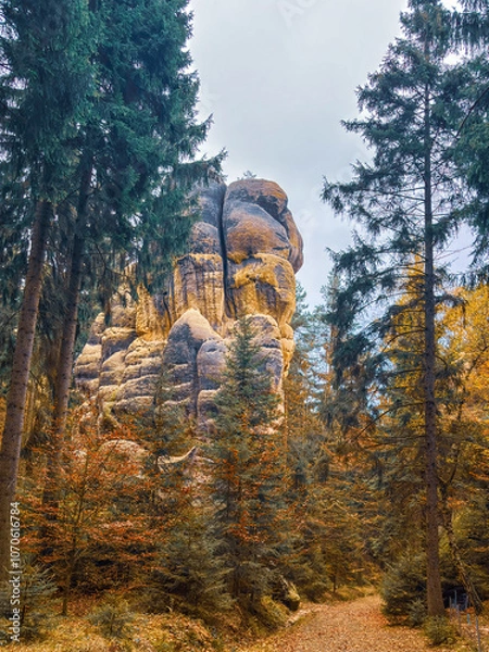 Obraz Sandstone rocks with forest in Germany
