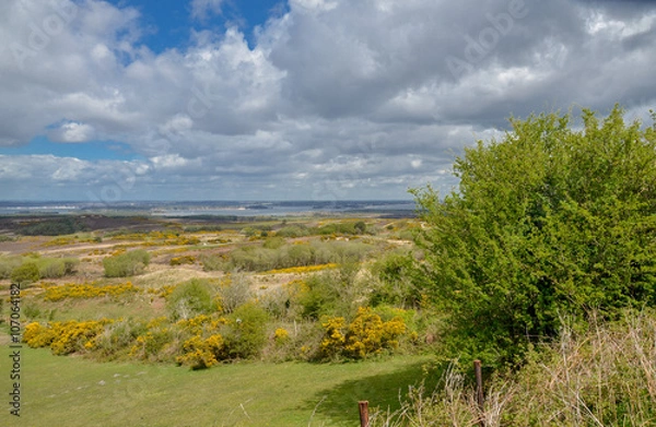 Fototapeta Poole Harbour view from Purbeck ridgeway
Isle of Purbeck, Dorset, England, United Kingdom
