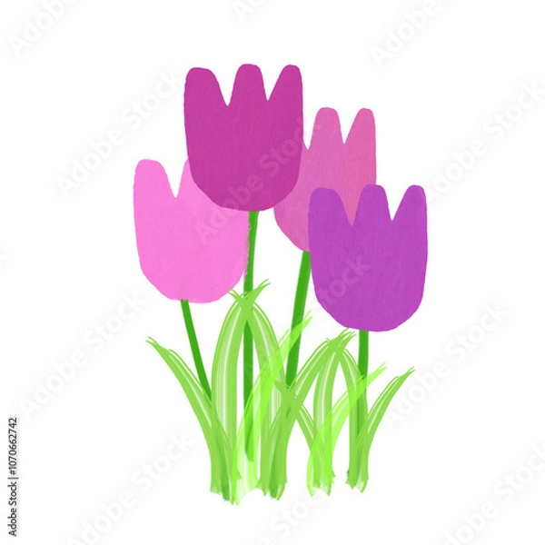 Obraz tulips on white background