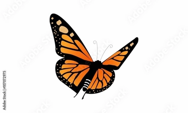 Fototapeta monarch butterfly logo vector