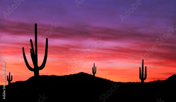 Obraz Colorful Sunset in Wild West Desert of Arizona with Cactus