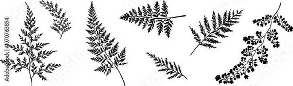 Fototapeta Elegant foliage vector leaf shape silhouettes, decorative leaves clip art set