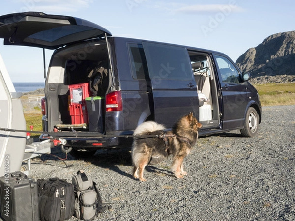 Obraz Ich passe auf das Gepäck auf/ Hund am Fahrzeug mit Gepäck