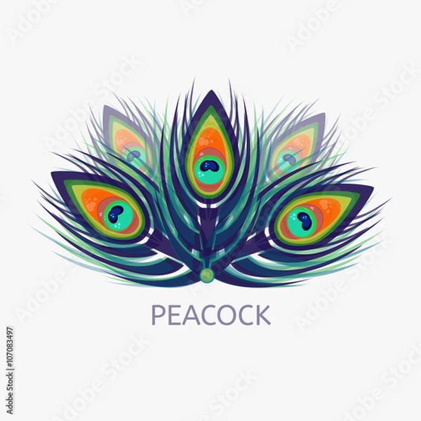 Fototapeta Logo Peacock w stylu niskich wielokątów. Logo i etykieta Peacock vector dla sieci web, mobile i druku. Kolorowe logo pawich piór.