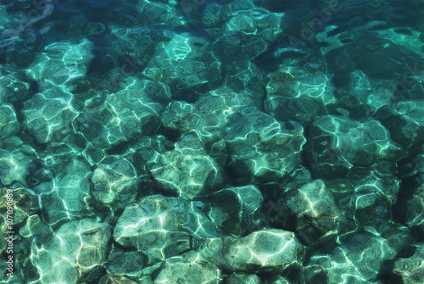 Fototapeta sea bottom