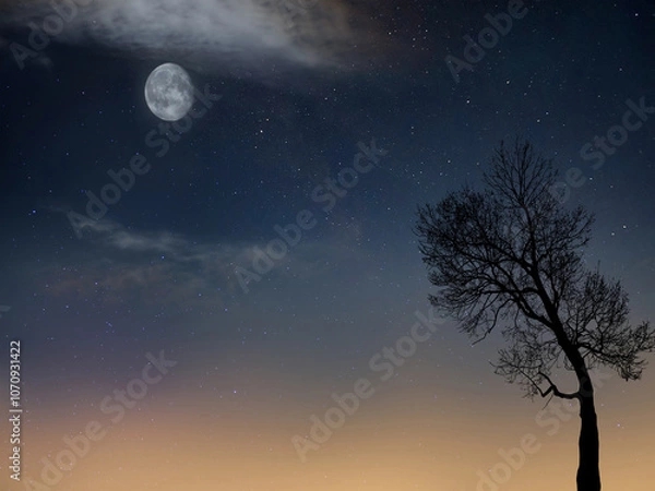 Obraz tree in twilight during dawn with the moon