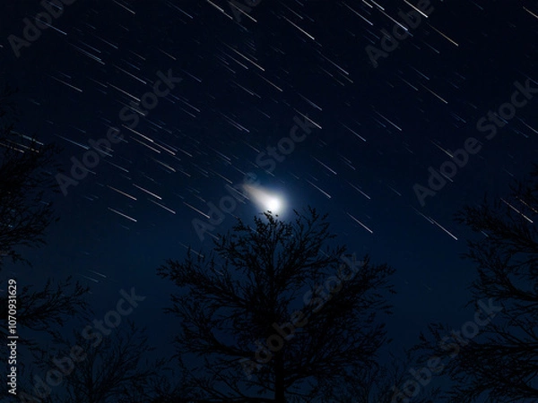 Obraz trees in shadow in long exposure of starry night sky