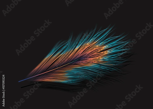 Fototapeta Vector feather on black background