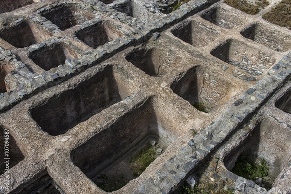 Obraz Factoría de salazón