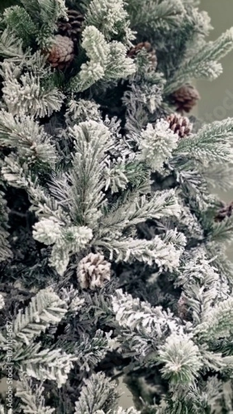 Fototapeta Snow-covered pine branches with pinecones, creating a frosty, winter look