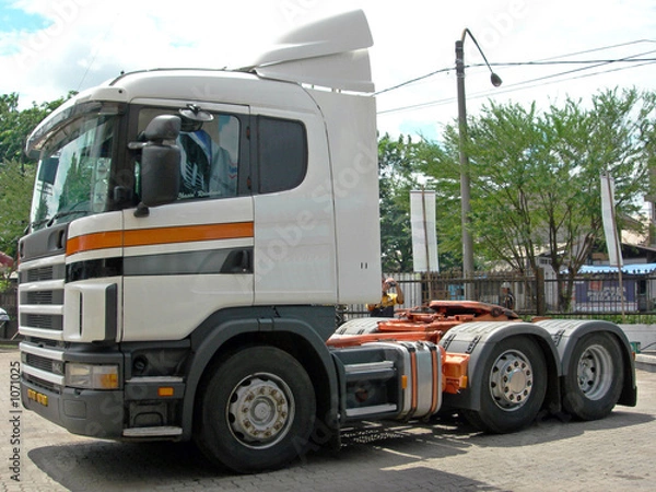 Obraz truck head