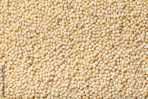 Obraz Millet seeds as texture for background
