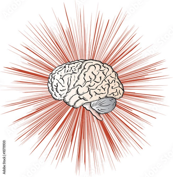 Obraz Gehirn