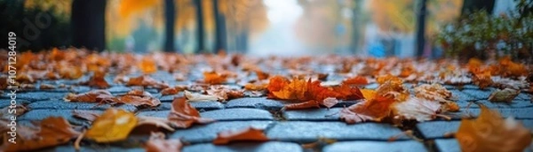 Fototapeta Fallen Autumn Leaves on a Stone Path in a Forest