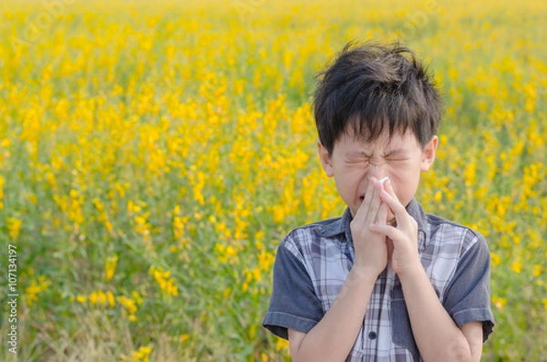 Obraz Little Asian boy has allergies from flower pollen