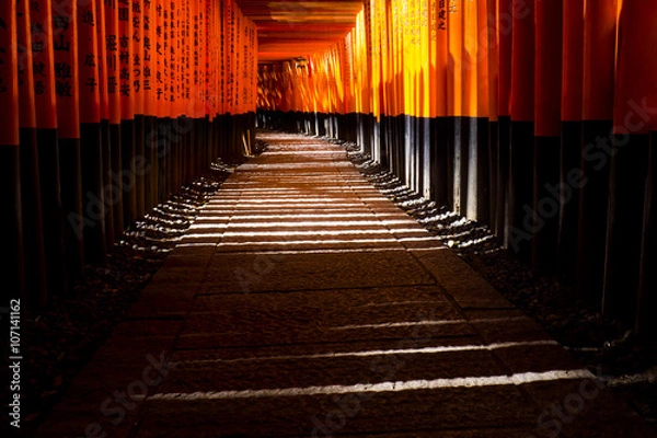 Fototapeta 千本鳥居　伏見稲荷大社