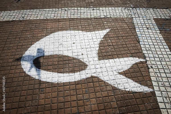 Fototapeta Symbol stowarzyszenia Madres de la Plaza de Mayo namalowanego na podłodze cieniem gołębicy.