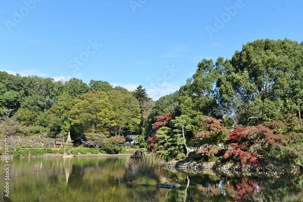 Obraz 町田薬師池公園の薬師池
