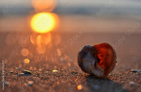 Obraz By the seaside