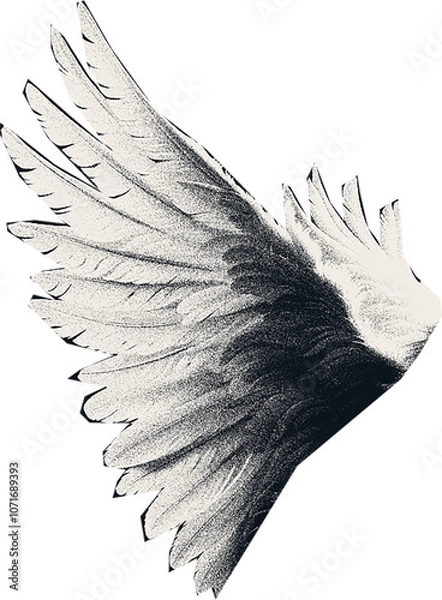 Fototapeta  Сlipping from a black and white vintage magazine elements, halftone angel wings