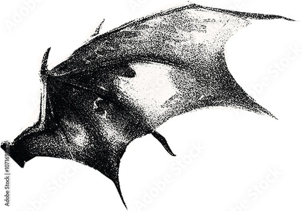 Fototapeta Сlipping from a black and white vintage magazine elements, halftone devil wings