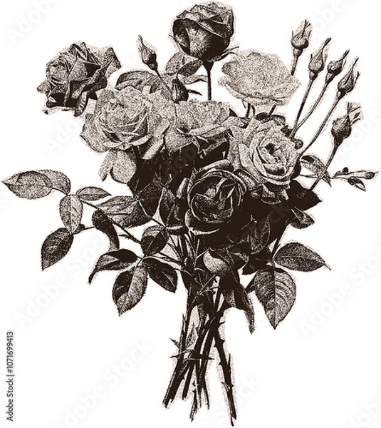 Fototapeta Сlipping from a black and white vintage magazine elements, halftone bouquet of roses