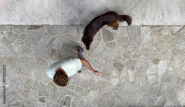 Fototapeta top view of man with dog against stone tile background