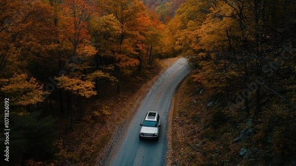 Fototapeta drive in the forest in autumn,