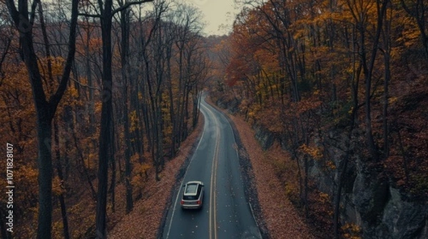 Fototapeta drive in the forest in autumn,