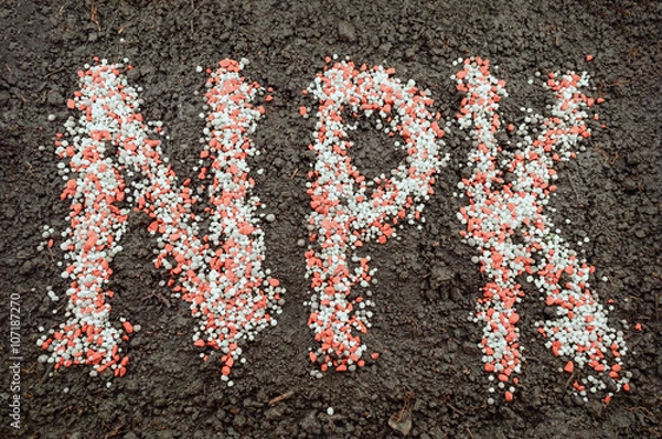 Obraz NPK letters made of mineral fertilizers