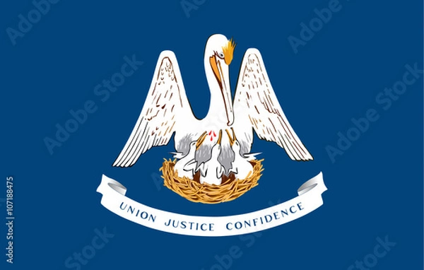 Obraz USA State Flag