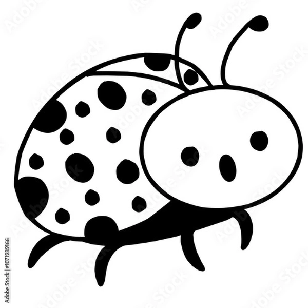 Obraz ladybug on white background