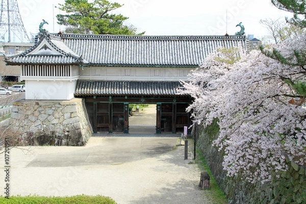 Obraz 桜の佐賀城鯱の門