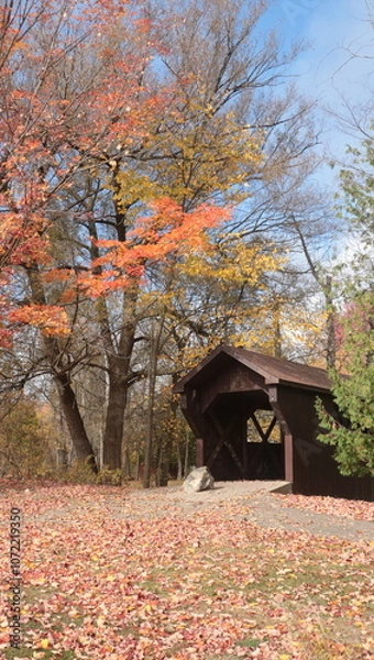 Obraz Covered Bridge
