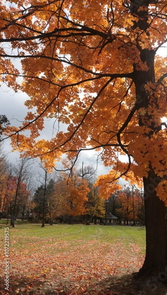 Obraz Golden orange tree 