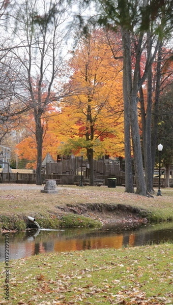 Obraz Some trees are bare 