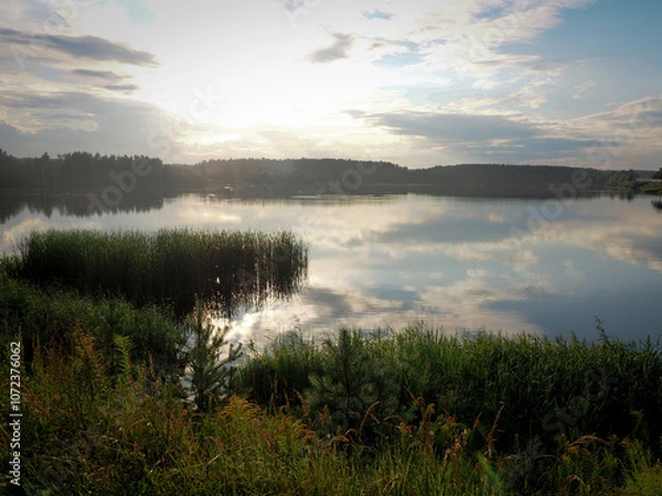 Obraz Sunset on the lake. Beautiful summer landscape with lake and trees.