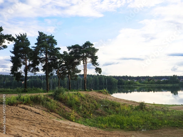 Obraz Summer landscape pine trees on the shore of a lake, Russia
