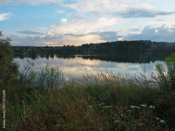 Obraz Beautiful summer landscape with lake and forest in the background at sunset