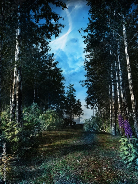 Obraz Forest in autumn