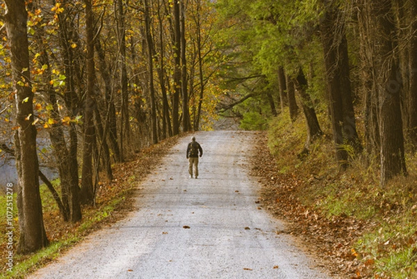 Fototapeta Solitary Hiker Walking Along Tree Lined Gravel Path in Autumn Forest Fall Colors in Smoky Mountains National Park