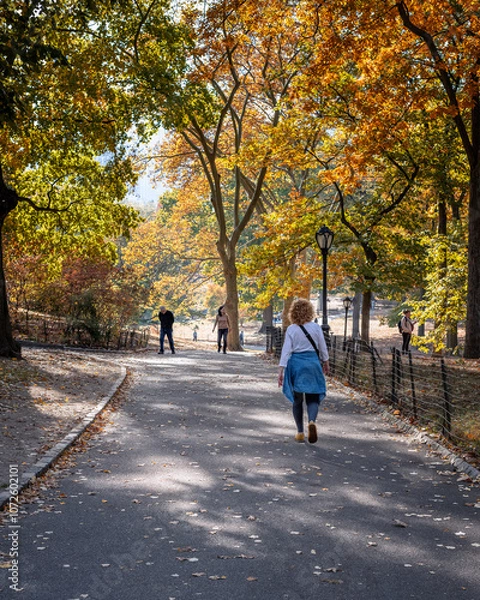 Fototapeta New York, New York, USA – October 30, 2024: Scenic view of people walking through Central Park on a sunny Autumn afternoon in New York, New York, USA.